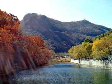 新澳天天开奖资料大全旅游团，黑防论坛